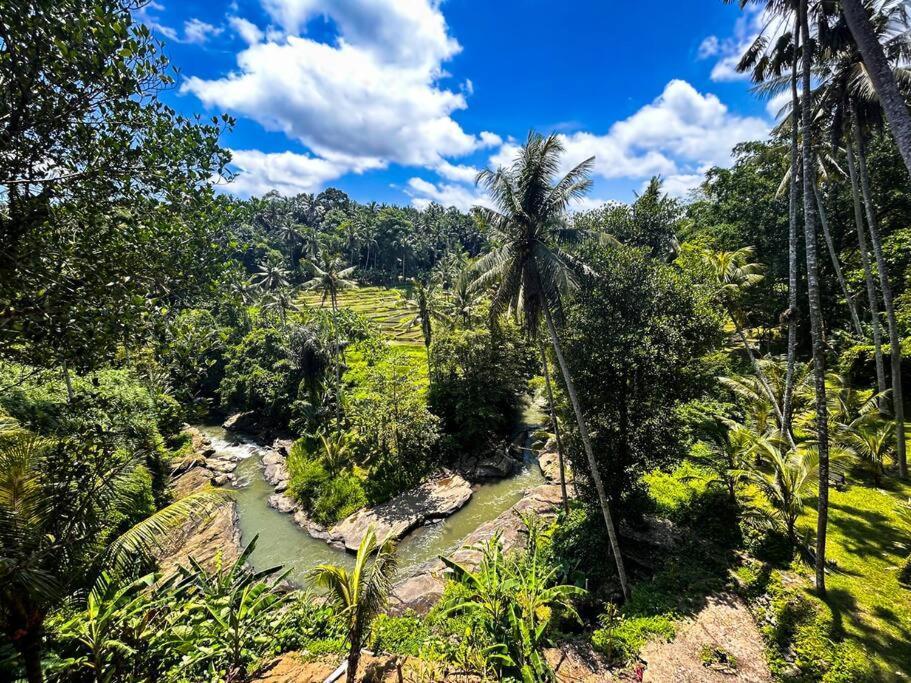 Ubud Riverside Villa Eksteriør billede
