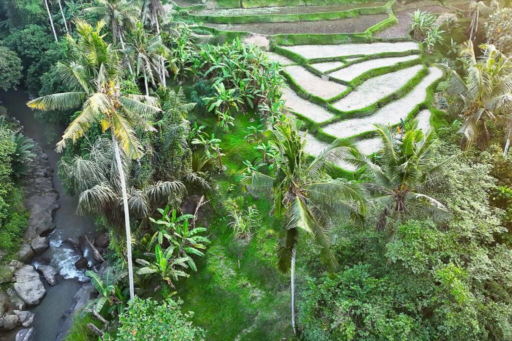 Ubud Riverside Villa Eksteriør billede